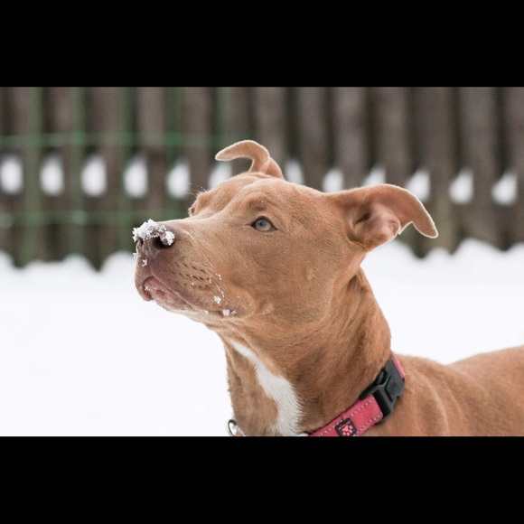 Meet your Posher, Sarah - Picture 4 of 6